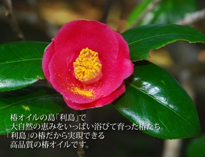 美椿スキンケアオイル